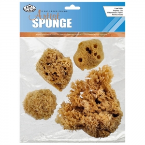 Artist Ocean Sponge Combination Pack